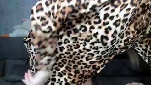 dreamesoul online show from 7, 11, 2025