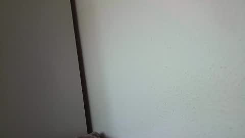 Snapshot of dreammaud333 chatting on 16, 2, 2025 dreammaud333 online show from 16, 2, 2025