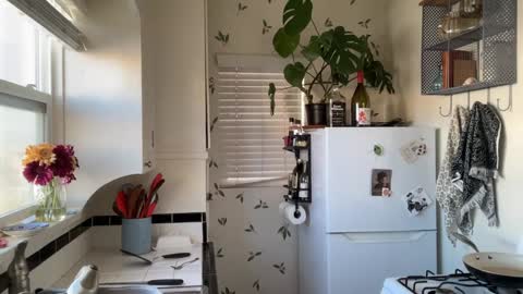 RIRI OR DREAMY online show from 18, 12, 2024