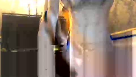 drippydickboy online show from 13, 1, 2026