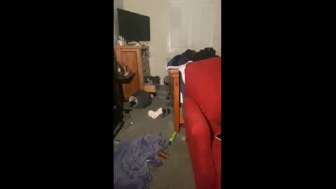 Drippy kitty  online show from 22, 12, 2025