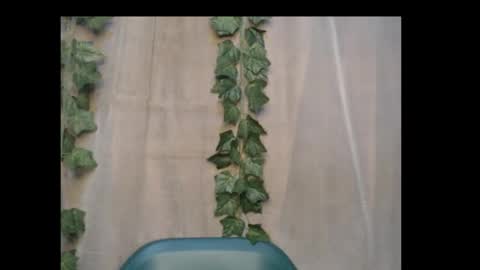 linda online show from 15, 10, 2025