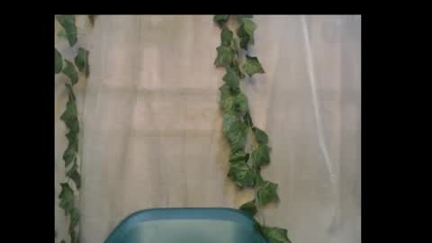 linda online show from 16, 10, 2025