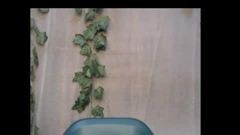 linda online show from 18, 10, 2025