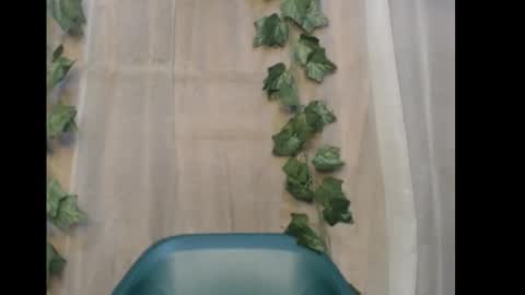 linda online show from 21, 12, 2025