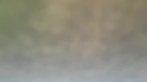 StraightStroker online show from 21, 12, 2024