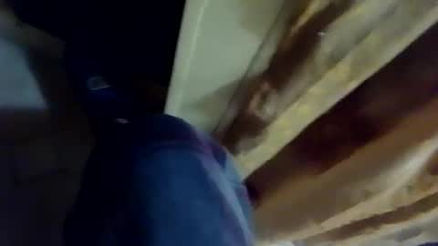 Snapshot of dthedog12 chatting on 4, 2, 2026 dthedog12 online show from 4, 2, 2026