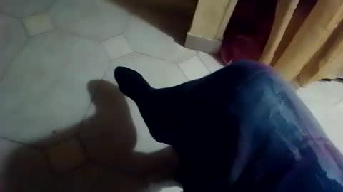 Snapshot of dthedog12 chatting on 8, 2, 2026 dthedog12 online show from 8, 2, 2026