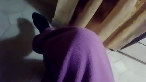 Snapshot of dthedog12 chatting on 10, 2, 2026 dthedog12 online show from 10, 2, 2026