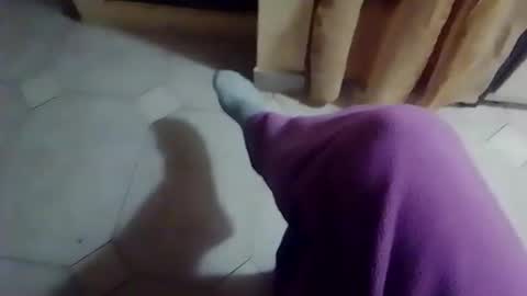 Snapshot of dthedog12 chatting on 19, 2, 2026 dthedog12 online show from 19, 2, 2026