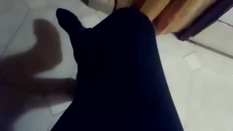 Snapshot of dthedog12 chatting on 2, 3, 2026 dthedog12 online show from 2, 3, 2026