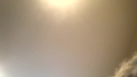 ducebabydee online show from 16, 9, 2025