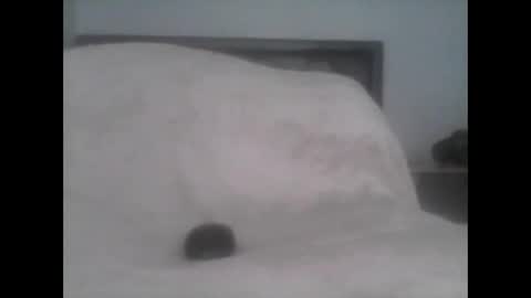 dudek0 online show from 1, 11, 2025