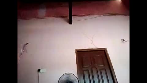 Snapshot of duskytamilkarthik chatting on 16, 5, 2026 duskytamilkarthik online show from 16, 5, 2026