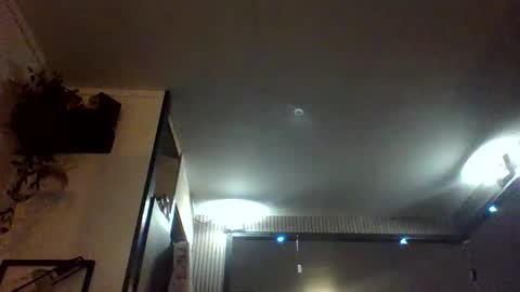 dutchbandito online show from 5, 12, 2025