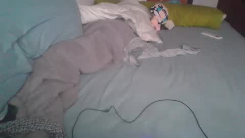 dv3nd3 online show from 7, 1, 2026