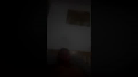 Snapshot of dvs1295 chatting on 7, 3, 2026 dvs1295 online show from 7, 3, 2026