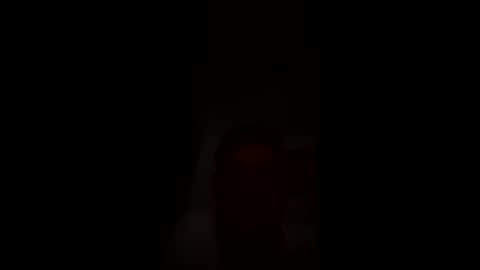 Snapshot of dvs1295 chatting on 8, 4, 2026 dvs1295 online show from 8, 4, 2026