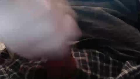 eat_a_peach2 online show from 2, 4, 2026