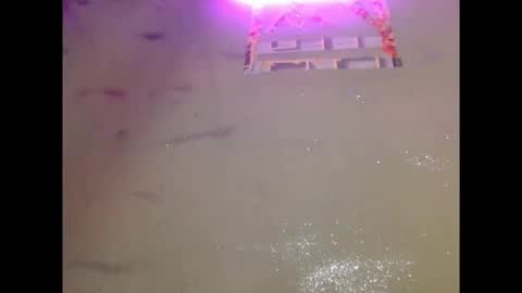 eatuupx online show from 19, 12, 2025