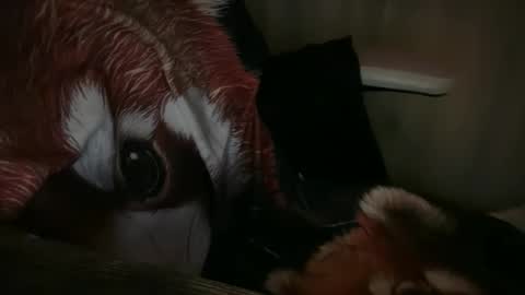 americnbarbie online show from 13, 11, 2025