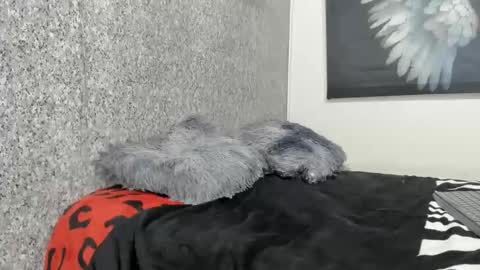 Snapshot of edi_stwix18 chatting on 13, 1, 2026 edi_stwix18 online show from 13, 1, 2026