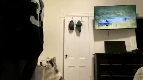 edvmendez1766 online show from 27, 10, 2025