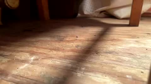 Snapshot of ehproject chatting on 1, 11, 2025 ehproject online show from 1, 11, 2025