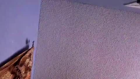 Snapshot of el_santo18 chatting on 7, 2, 2025 Santos online show from 7, 2, 2025