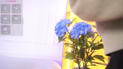 Elasummeer online show from 19, 11, 2025