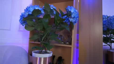 Snapshot of elasummeer chatting on 4, 2, 2026 Elasummeer online show from 4, 2, 2026