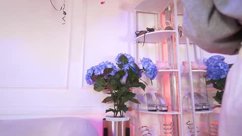 Snapshot of elasummeer chatting on 19, 2, 2026 Elasummeer online show from 19, 2, 2026