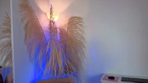 Snapshot of elecktra_sweet chatting on 24, 6, 2026 Elecktra online show from 24, 6, 2026