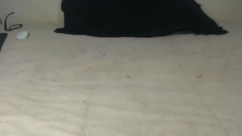 elgsslt online show from 20, 10, 2025