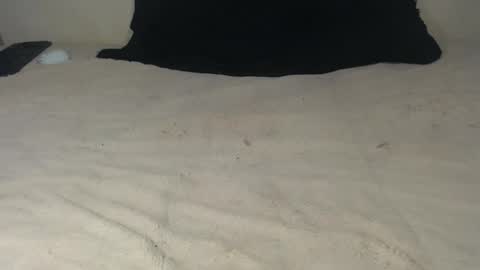 elgsslt online show from 21, 10, 2025