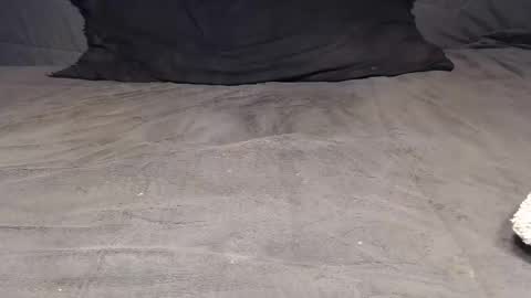 elgsslt online show from 4, 4, 2026