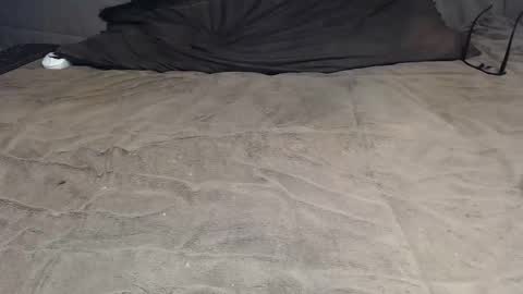 elgsslt online show from 8, 4, 2026