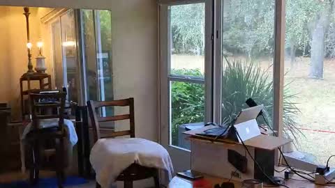 eliberator online show from 7, 1, 2026