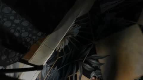 elithcoup_cum online show from 7, 12, 2024