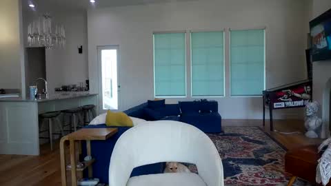 Liz online show from 13, 11, 2025