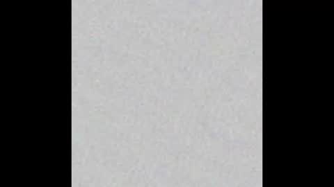 Eli online show from 8, 1, 2026