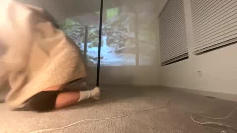 ella_ella_ella_ay online show from 11, 1, 2026