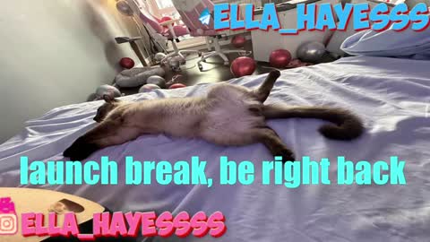 Snapshot of ella_hayes chatting on 7, 1, 2025 Ella NEXT STREAM 1TH DECEMBER 1200 - 0800 AM AT MOSCOW TIME online show from 7, 1, 2025