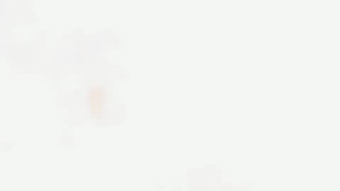 SINGLE PO online show from 5, 3, 2026