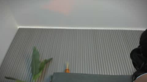 Snapshot of emelie_89 chatting on 3, 6, 2026 emelie_89 online show from 3, 6, 2026
