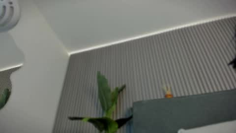 Snapshot of emelie_89 chatting on 6, 6, 2026 emelie_89 online show from 6, 6, 2026