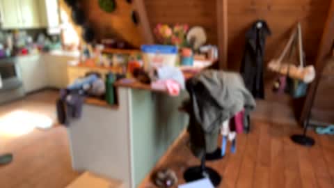 popalottapuss - puddin tits - daddy - buttercup - bonfire - Mrs. Fuck Yea - hibeams - honey buns - online show from 11, 11, 2025