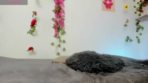 Snapshot of emily_coraline chatting on 6, 2, 2025 Emily online show from 6, 2, 2025
