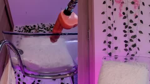 Emily online show from 11, 1, 2025