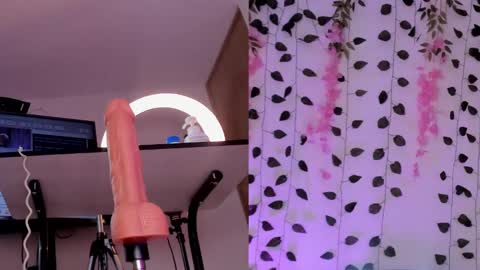 Emily online show from 26, 1, 2025